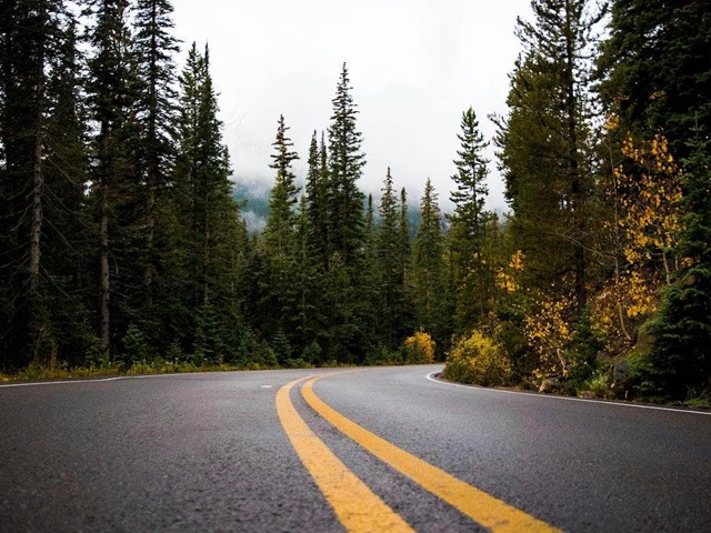 ¿Cada cuánto tiempo tengo que parar durante un viaje largo en coche?